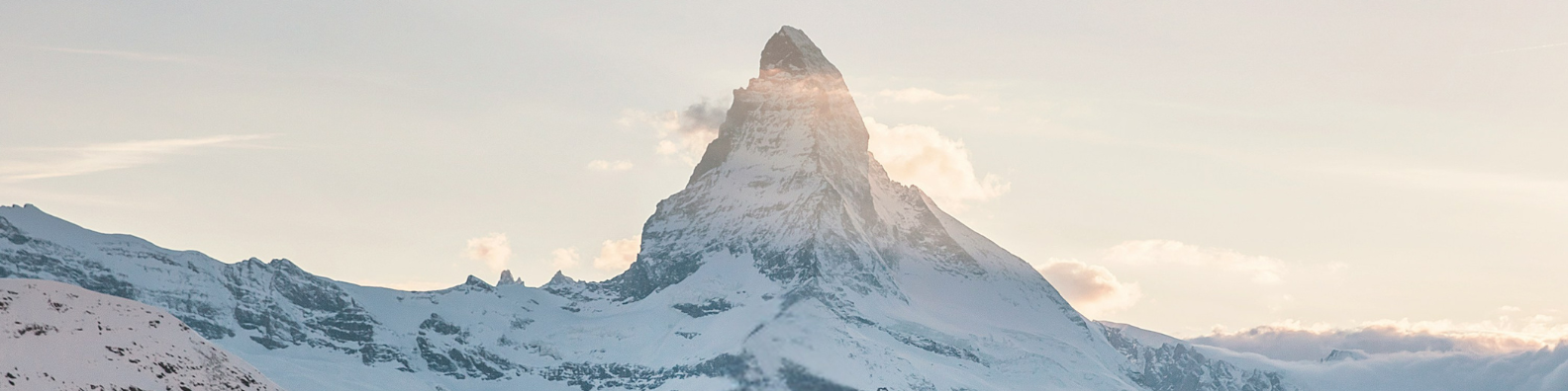 Header for Contact us